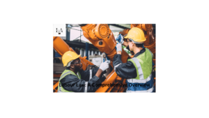 Read more about the article Labour Law: A Comprehensive Overview